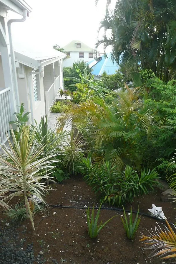 Douceurs Caraibes, Gite Papaye. Bouillante